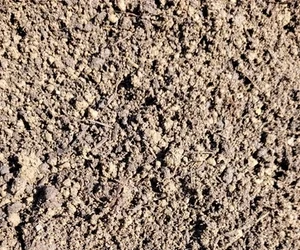 Soil compost 50/50 mix